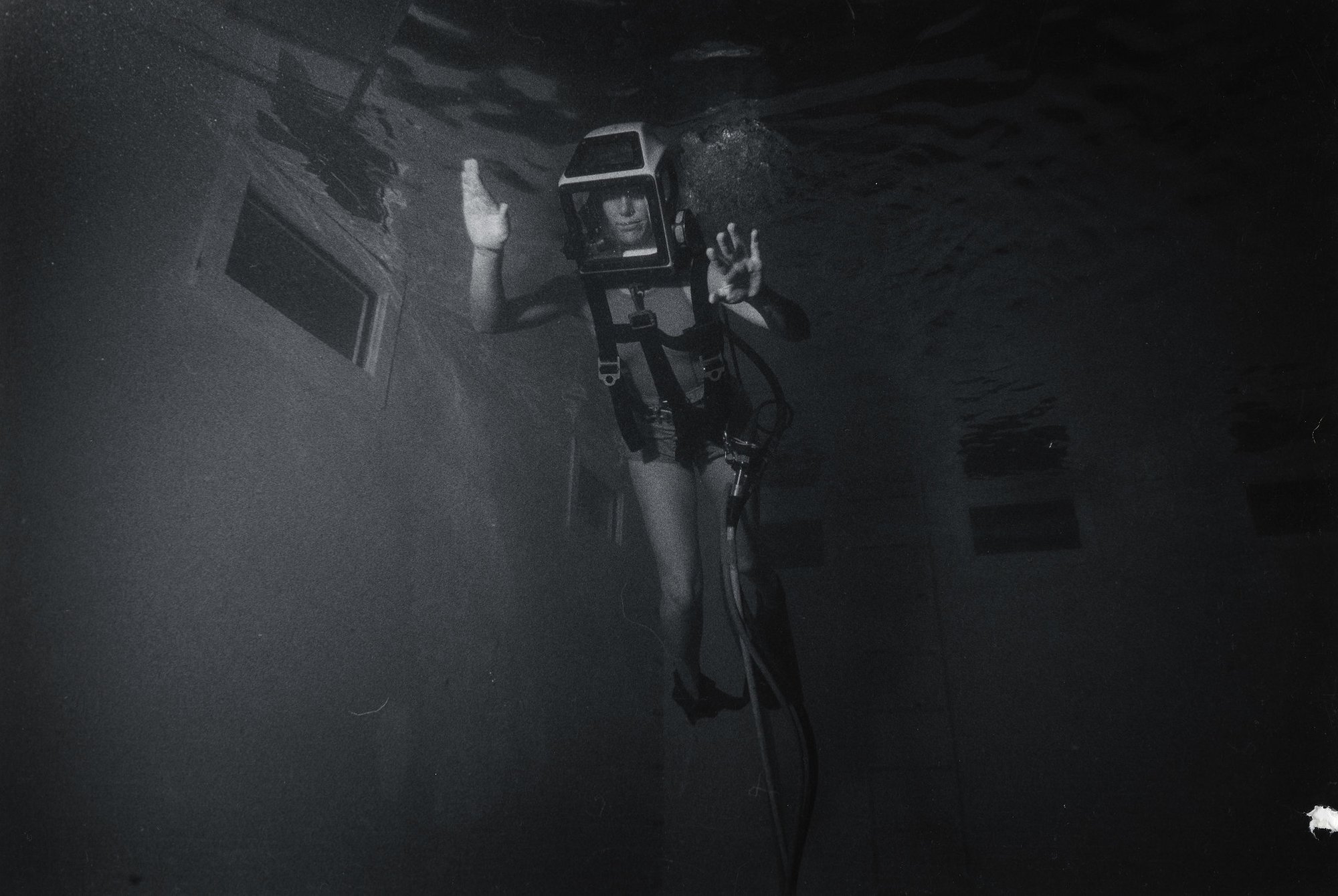 Donna Tobias deep sea diver coffee or die 