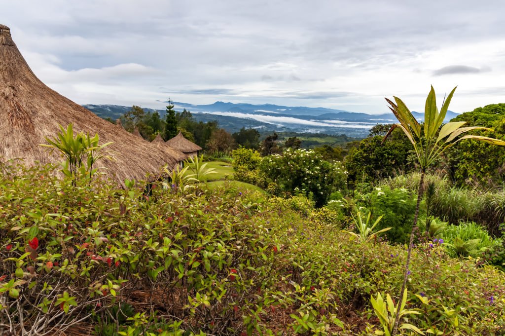 The Papua New Guinea highlands is home to the Sigri Coffee Estate, which is a part of the Carpenter Estates, a collection of three farms that span over 3,000 hectares of coffee and tea. Adobe Stock photo.