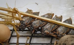 "They taste like burnt chicken skin," several US Marines said about the cockroaches and other bugs they consumed.