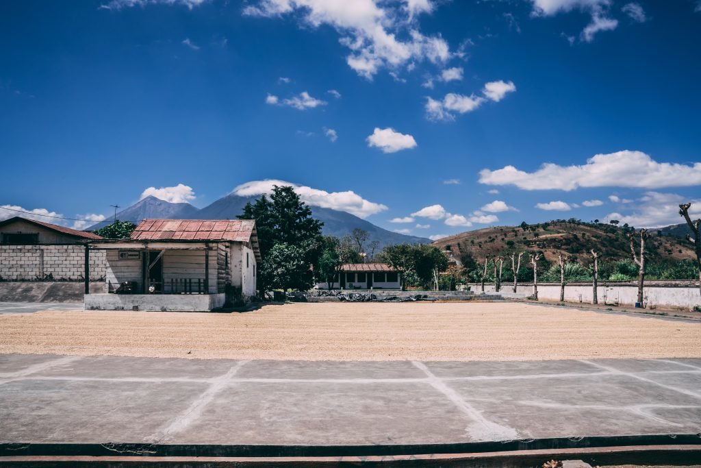 black rifle coffee guatemala antigua photo by marty skovlund jr