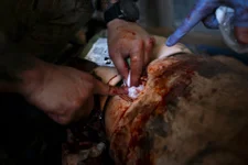 A 27th Special Operations Support Squadron independent duty medical technician packs gauze into a wound on a mannequin during casualty evacuation training at Cannon AFB, New Mexico, April 30, 2021. The course has previously been offered only at Hurlburt Field, Florida. US Air Force photo by Airman 1st Class Christopher Storer.