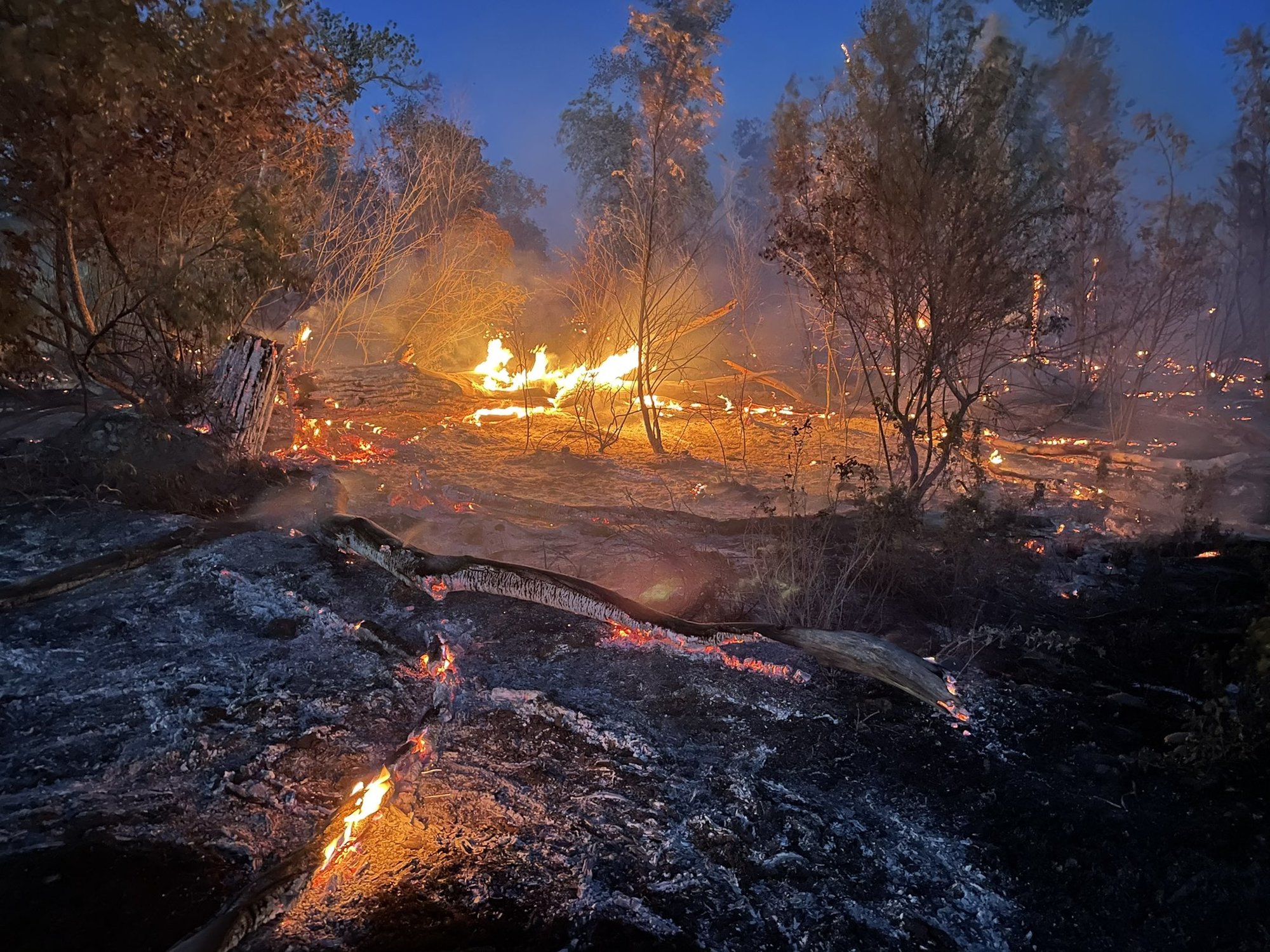 California wildfire