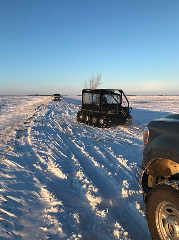 Minnesota Blizzard