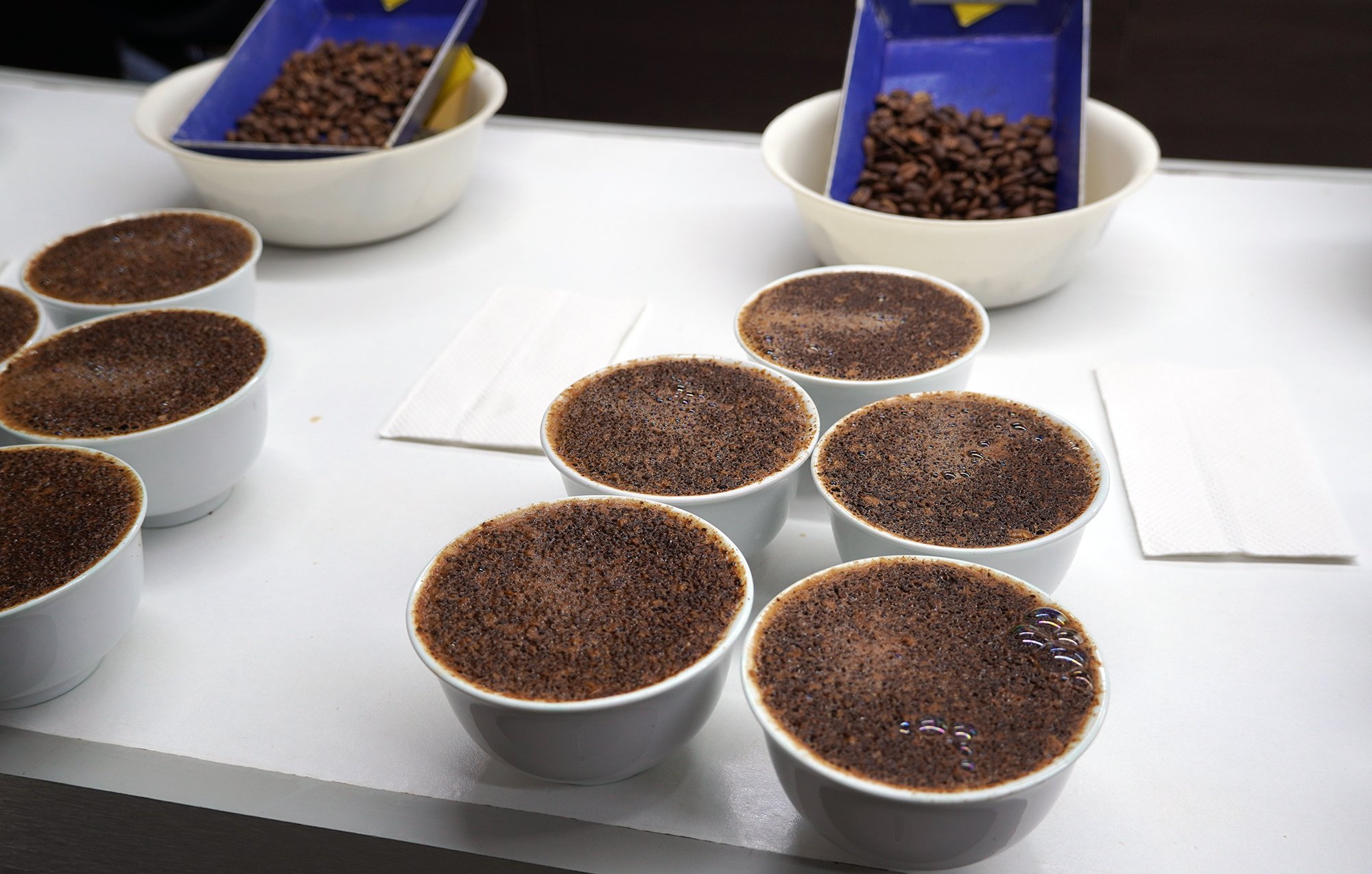 Hawaii Coffee Association cupping competition