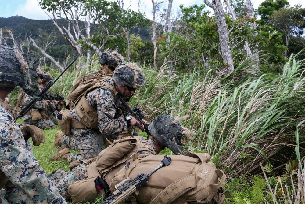 marines littoral missile
