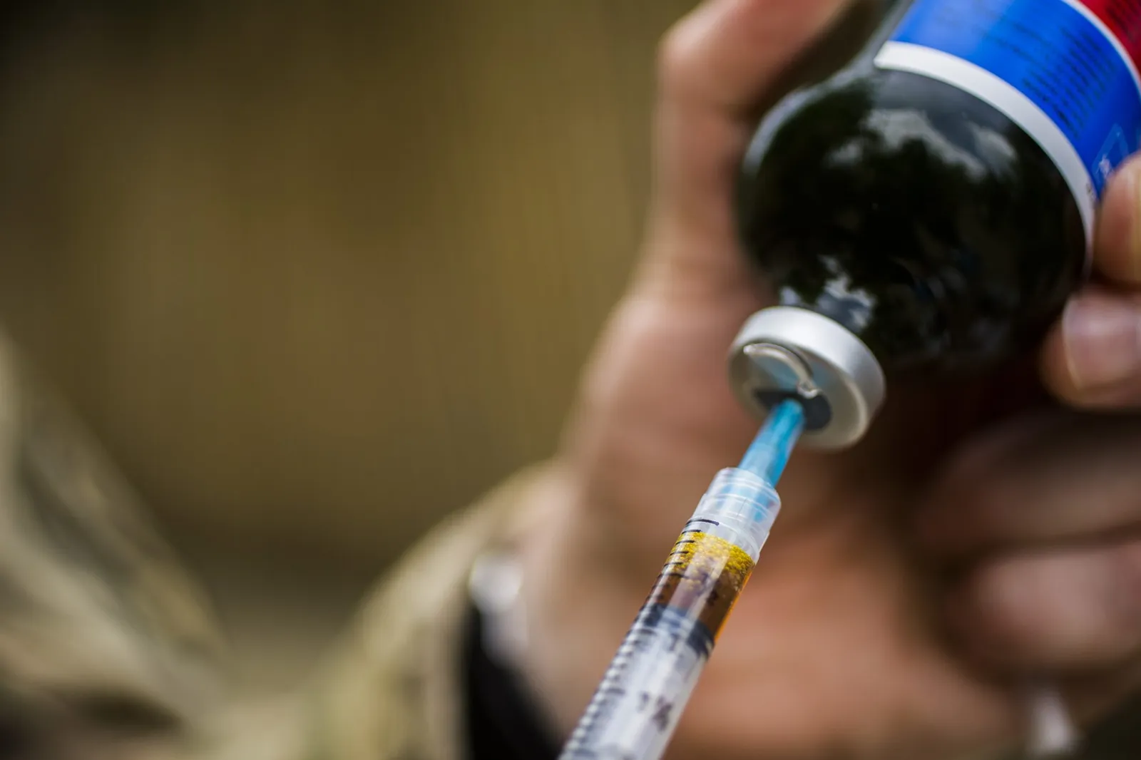 DOD vaccine mandate
