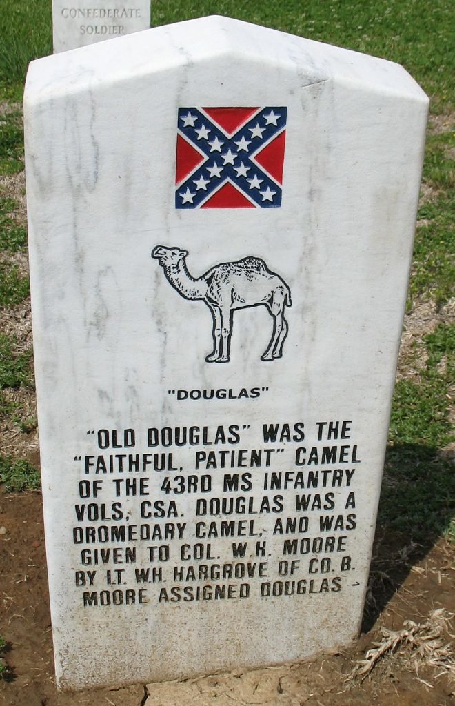 "Old Douglas" coffee or die 