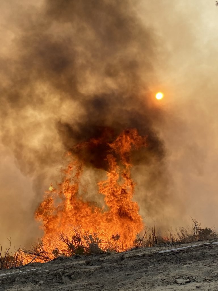 california wildfires