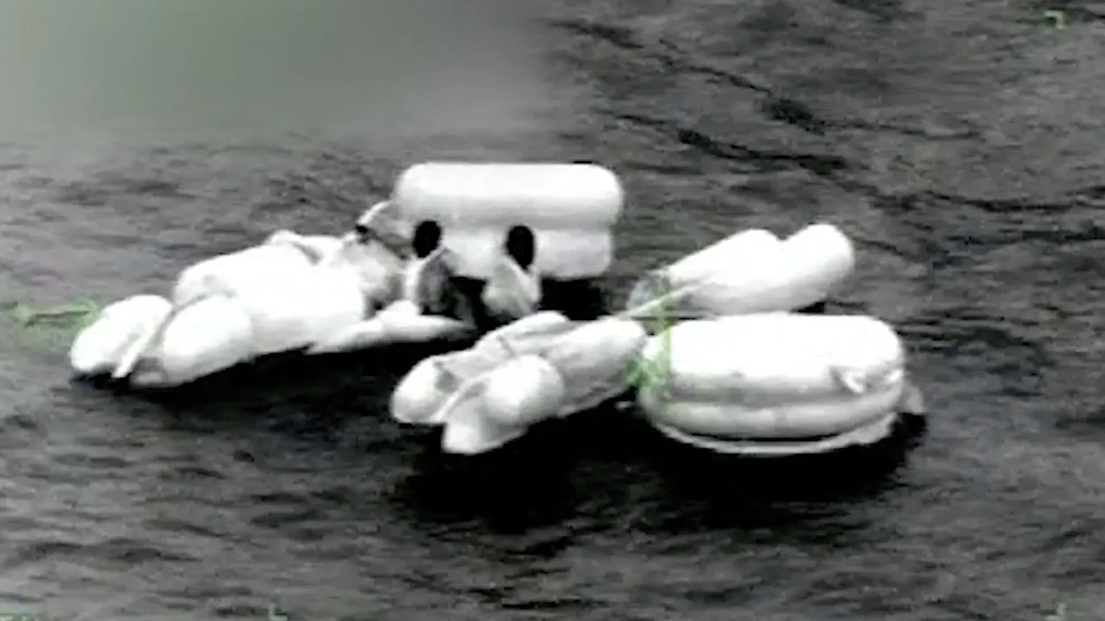 The Distress Phase: Coast Guard Rescuers Rush to Downed Chopper