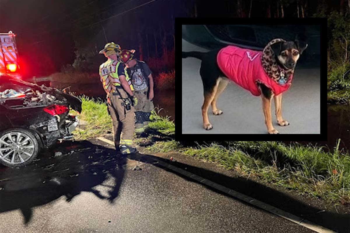 They don’t know the doggy’s name, but  Crawford Volunteer Fire Department personnel rescued him from an overturned convertible on Sunday, June 12, 2022, in North Carolina. Coffee or Die Magazine composite.