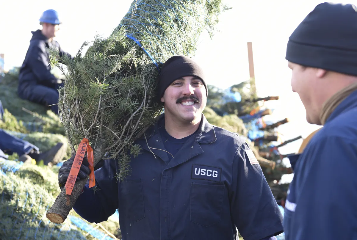 Christmas trees