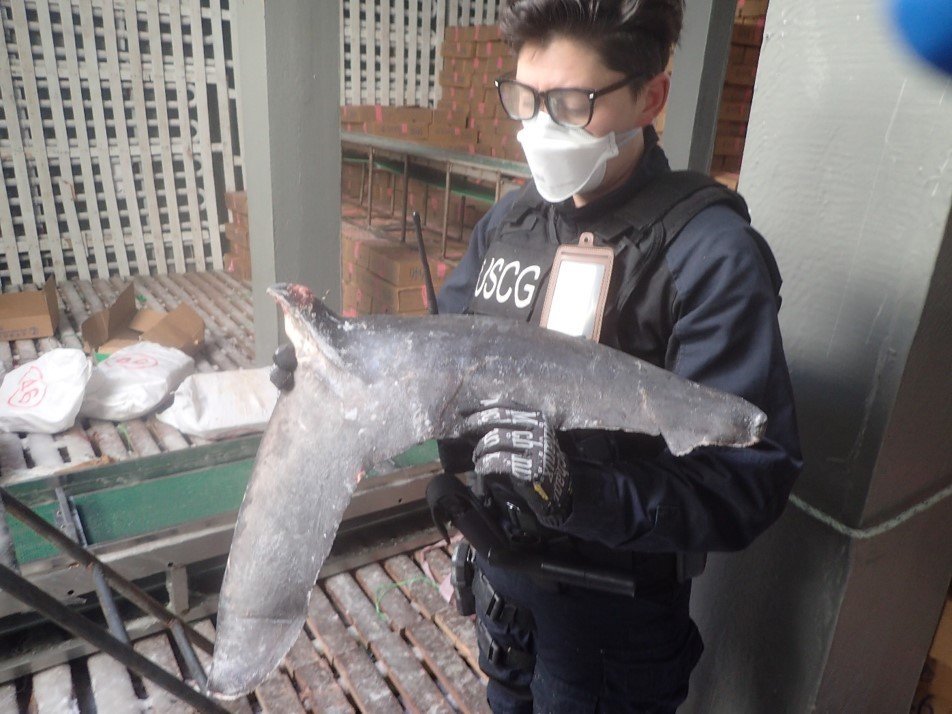 US Coast Guard shark fins