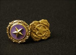 Gold Star pin