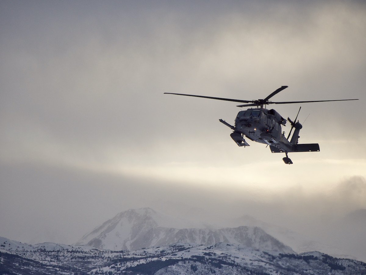 alaska rescues pregnant