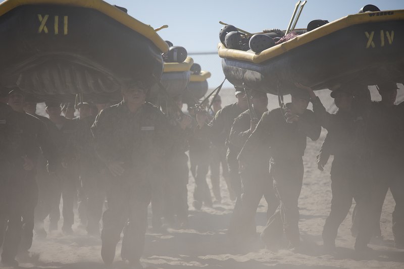 Seal candidate