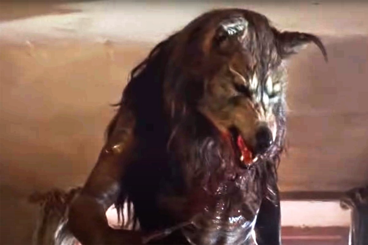 dog soldiers 