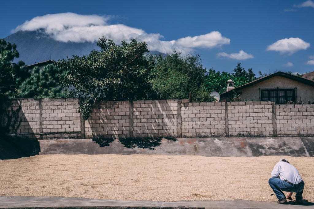 black rifle coffee guatemala antigua photo by marty skovlund jr