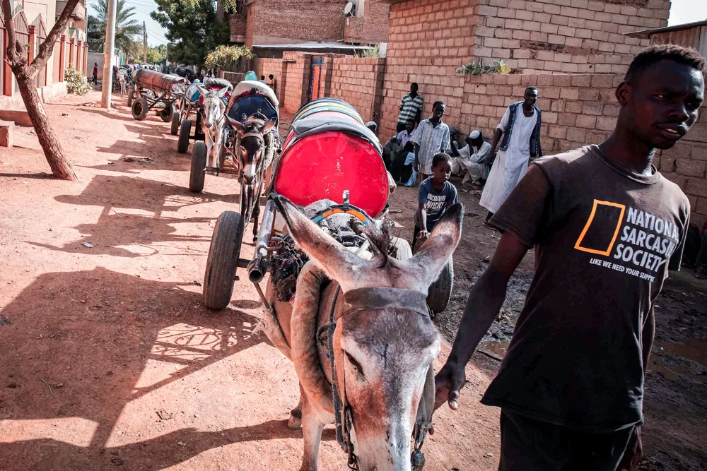 A man leads donkeys pulling water barrels in Khartoum, Sudan.