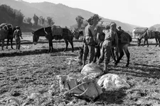 Soldiers assigned to the 5332nd Brigade (Provisional), known as the MARS Task Force, pack mules with supplies delivered by air drop in Burma, Feb. 6, 1945. Special harnesses helped distribute the loads on the mules’ backs to prevent injury and fatigue. Army photo