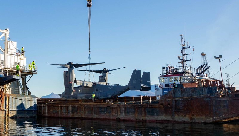 Norway Rescues Osprey