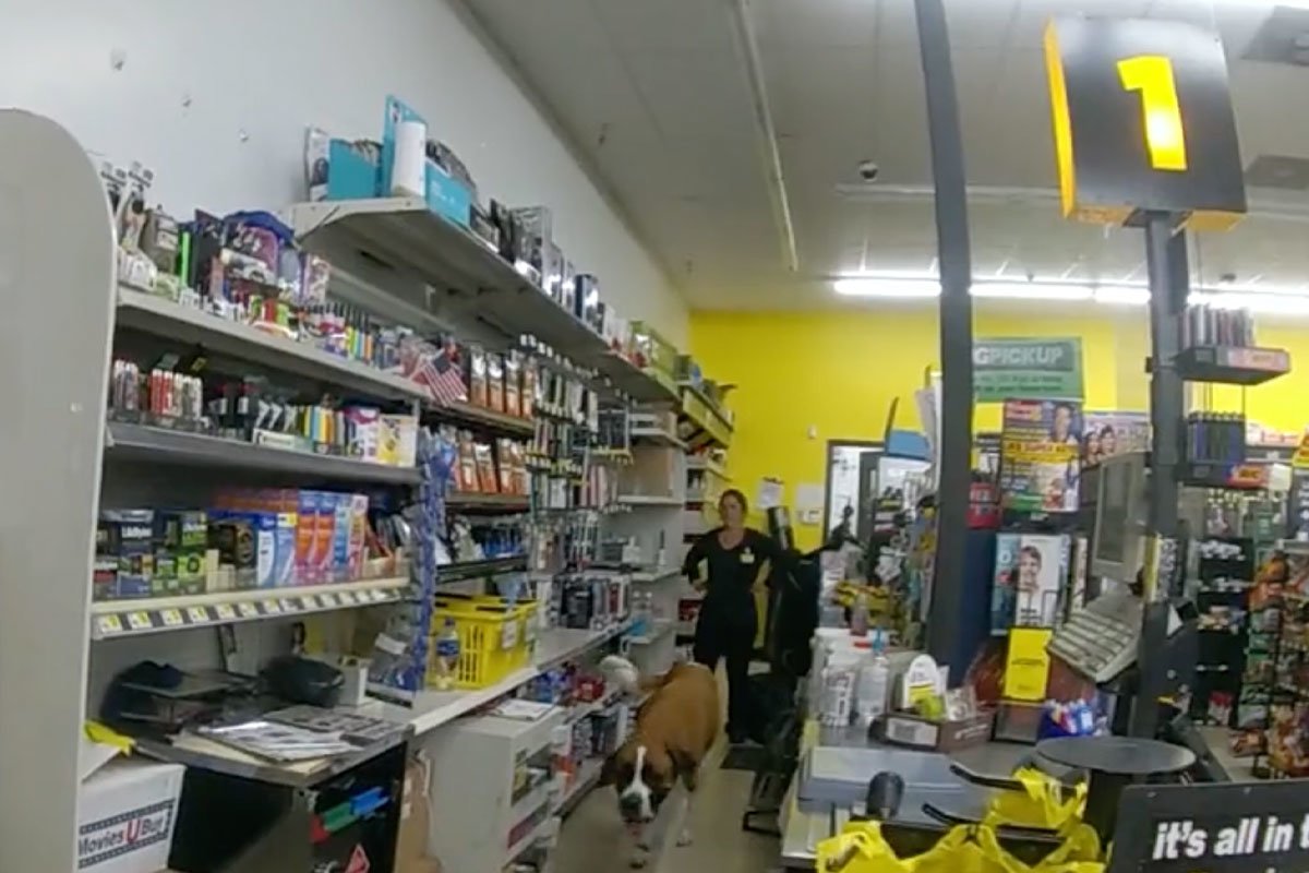 Dollar General