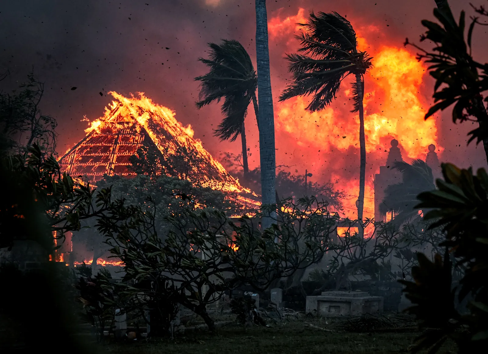 hawaii wild fires
