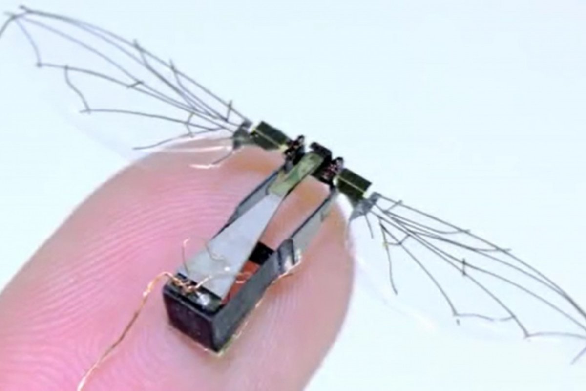 Air Force microdrone insect