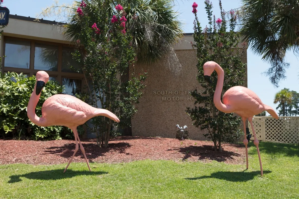 America’s Love Affair with the Plastic Pink Flamingo
