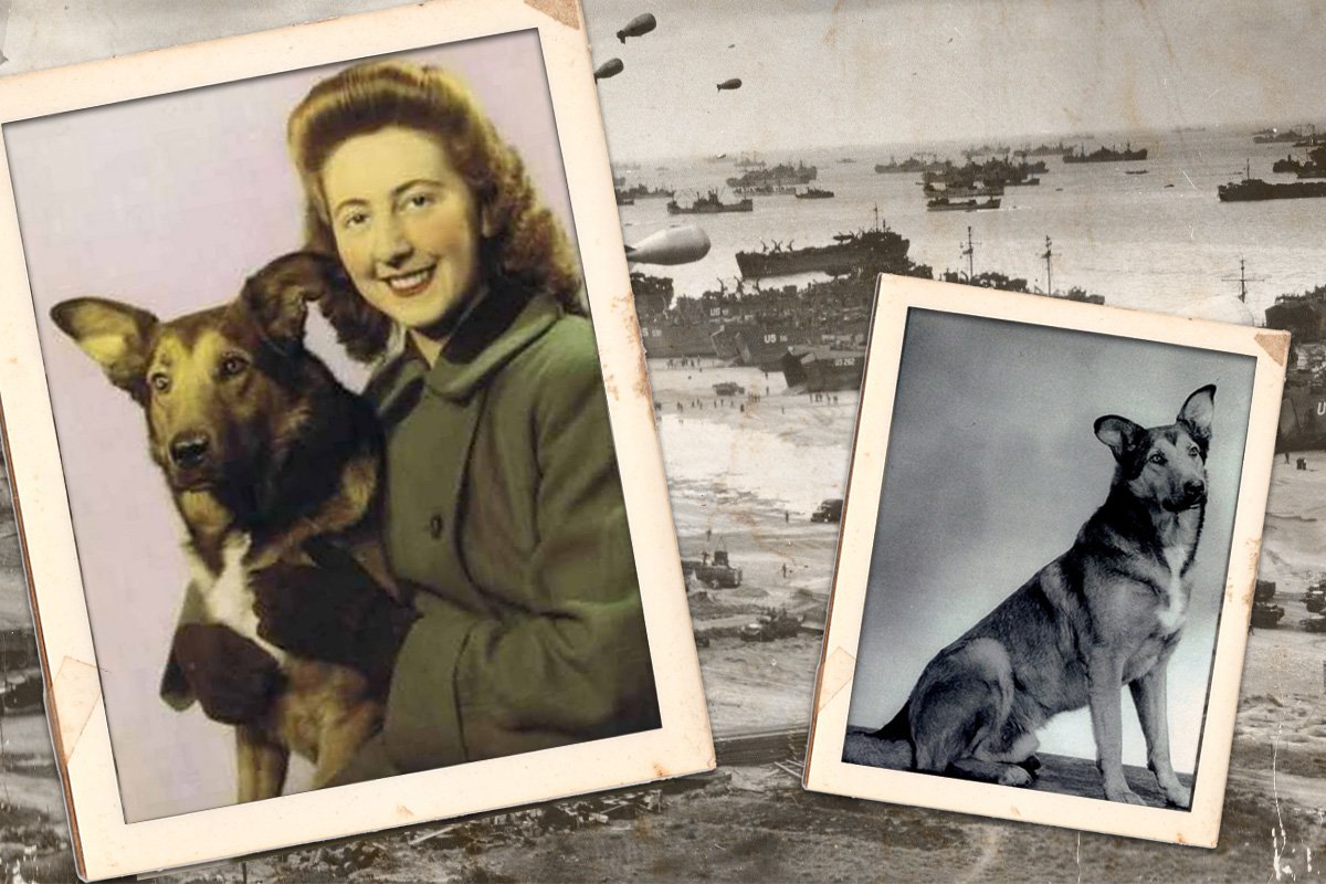 betty french, paratrooper dog, d-day