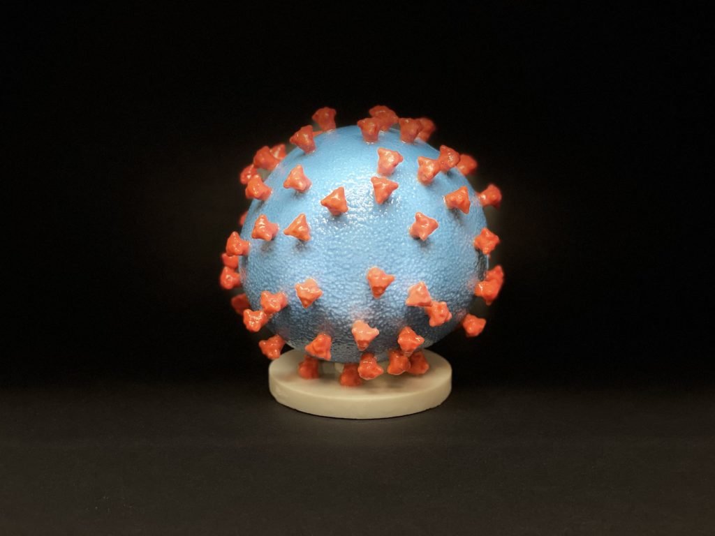 A 3D print of a SARS-CoV-2—also known as 2019-nCoV, the virus that causes COVID-19—virus particle. The virus surface (blue) is covered with spike proteins (red) that enable the virus to enter and infect human cells. For more information, visit the NIH 3D Print Exchange at 3dprint.nih.gov. Photo courtesy the National Institutes of Health.