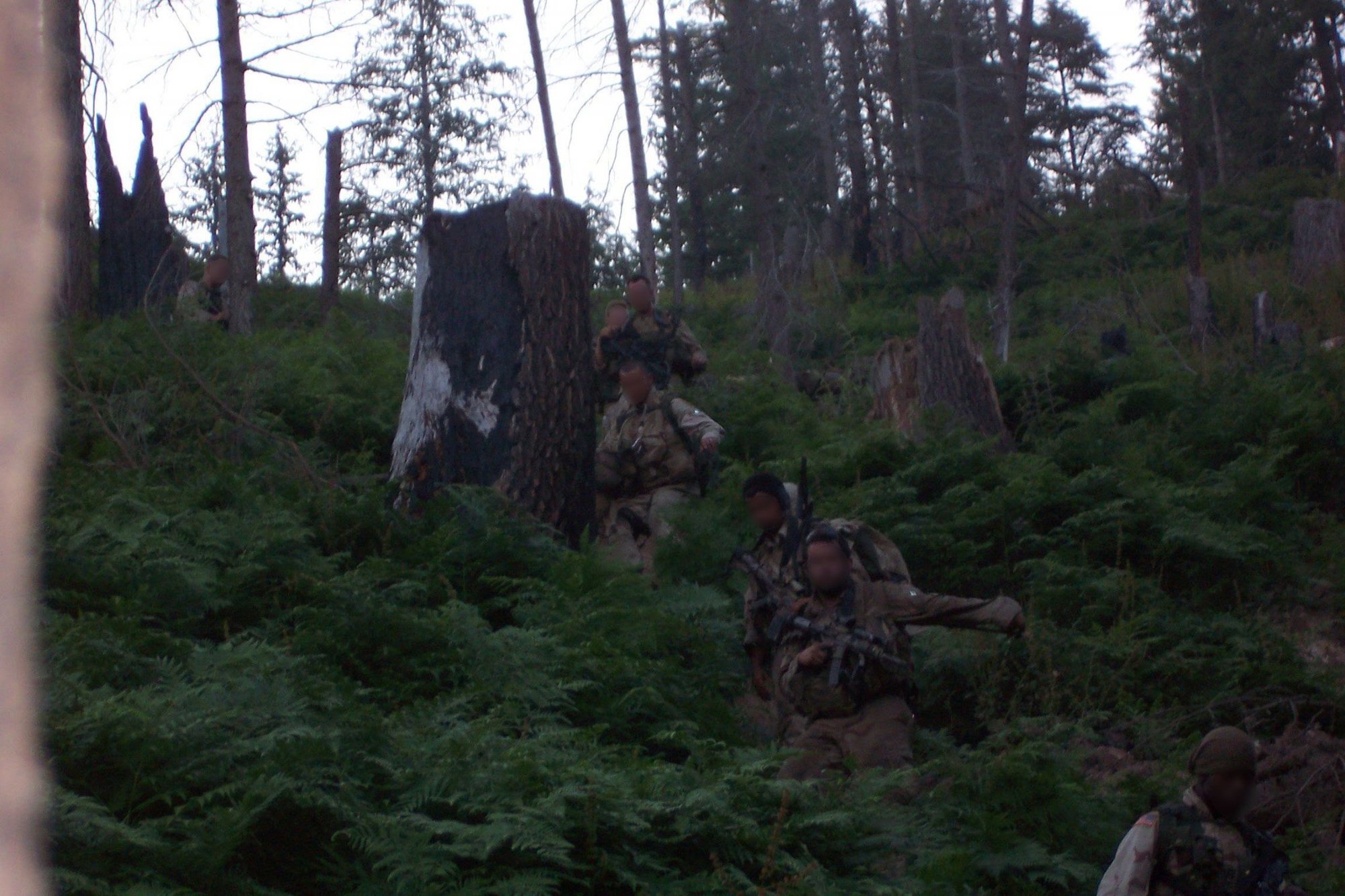 operation red wings