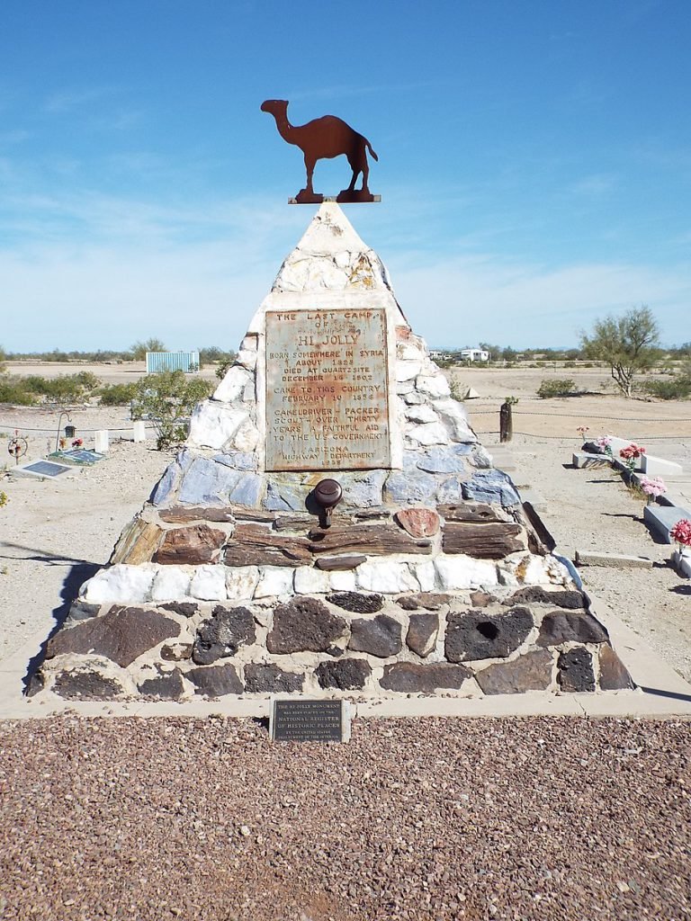 U.S. Camel Corps Hi Jolly coffee or die
