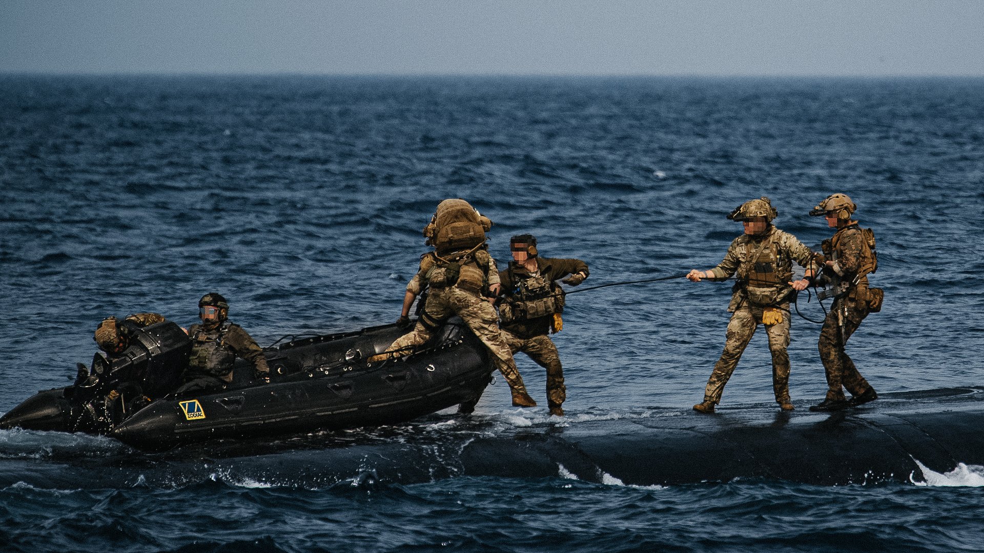 SEALs