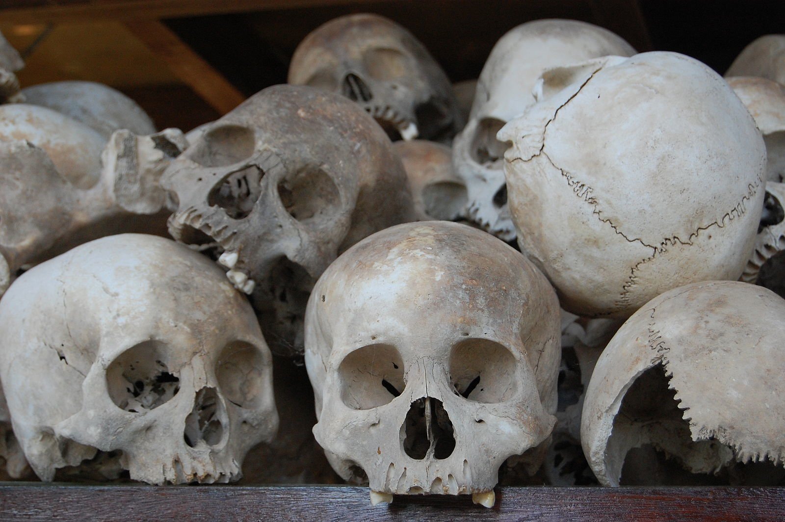 Human skulls on display in Cambodia’s killing fields.