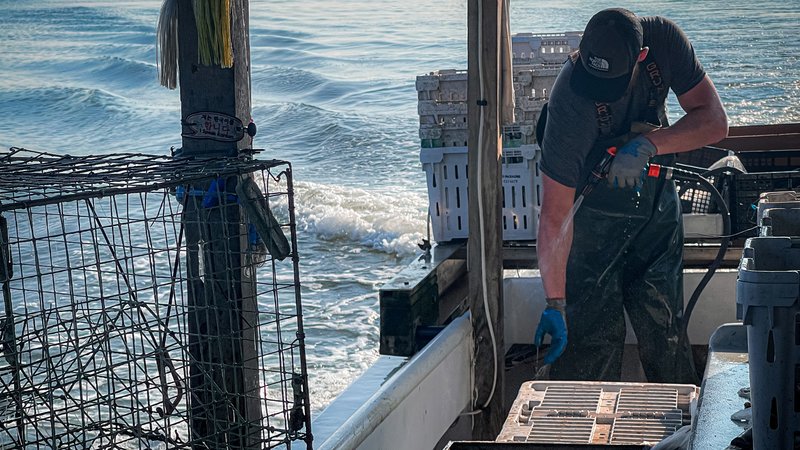waterman crabbing