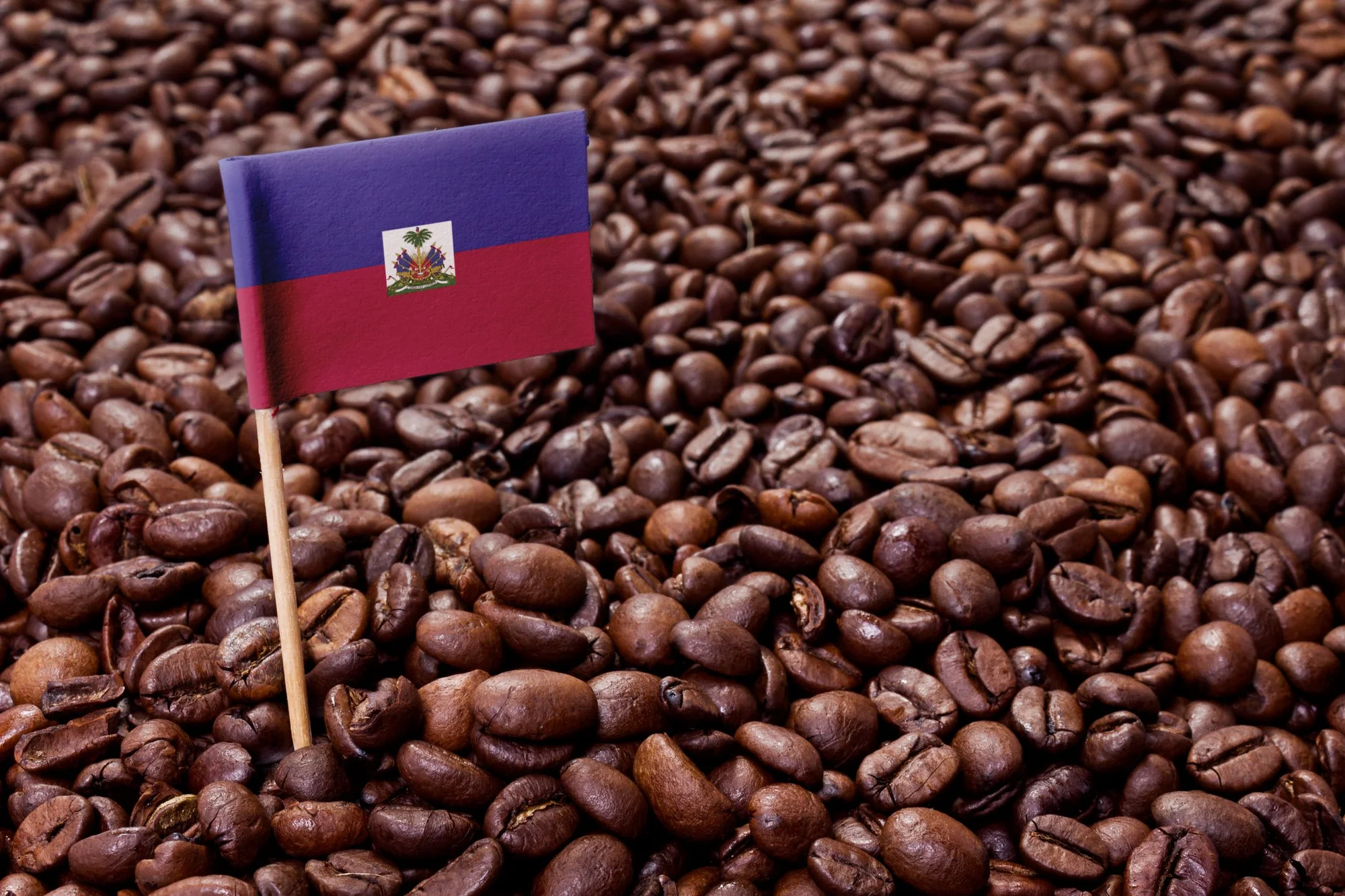 haitian blue coffee
