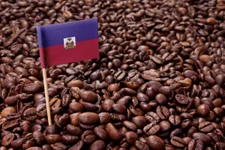 Haitian Blue is the latest specialty coffee to come out of the boom-and-bust coffee industry in Haiti. Adobe Stock photo.