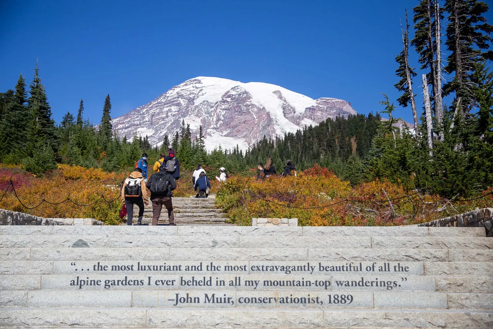 Mt. Rainier