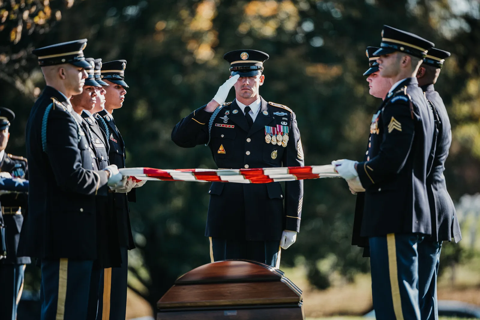 veteran cancer