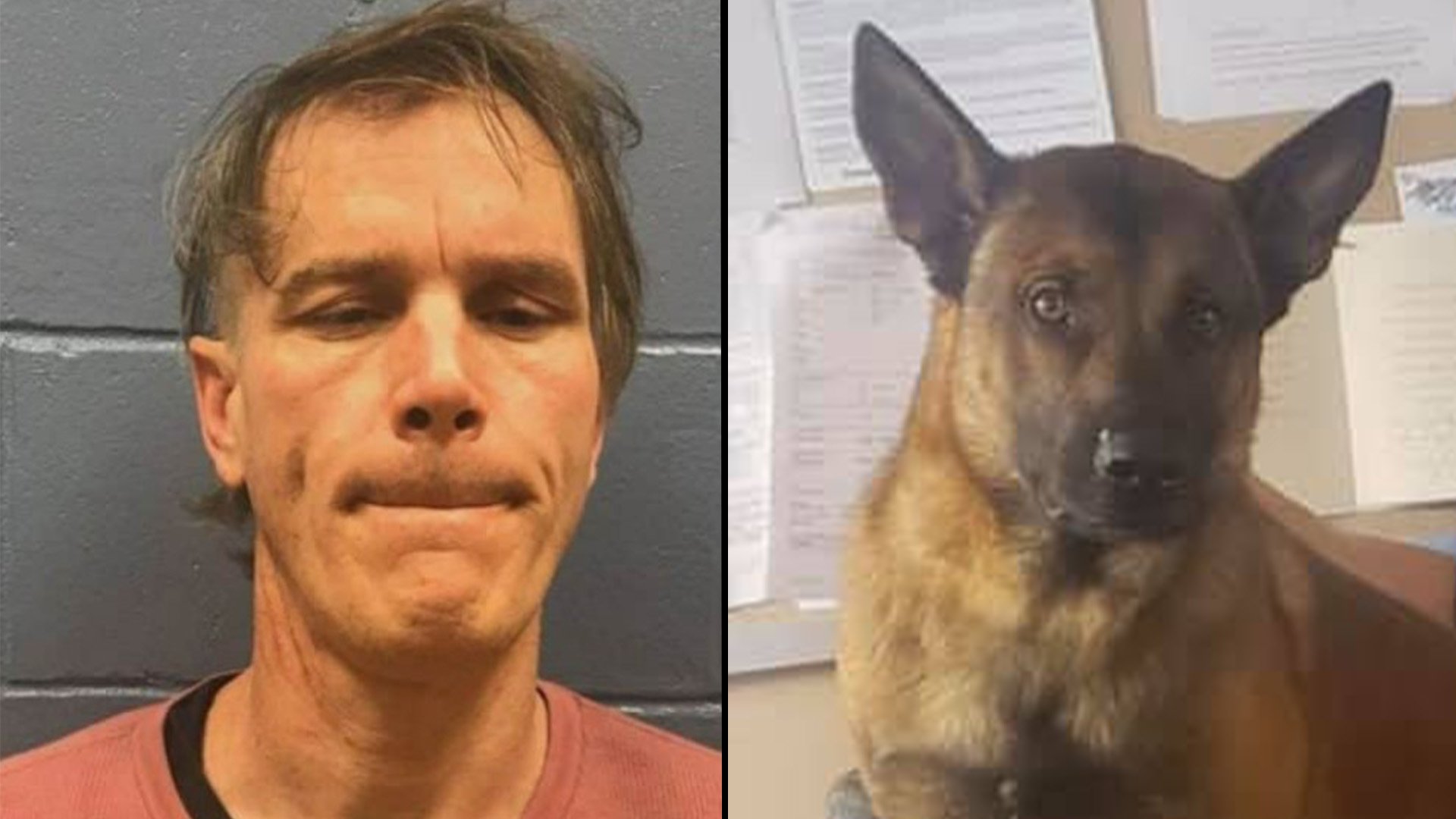 Richard J. McGuire, 44, of Mobile, Alabama, pleaded guilty on Tuesday, Aug. 2, 2022, in US District Court in Gulfport, Mississippi, to being a felon in possession of a firearm and one count of animal crushing. He used a sawed-off shotgun to blast "Buddy," a working dog for the Moss Point Police Department. Coffee or Die Magazine composite.