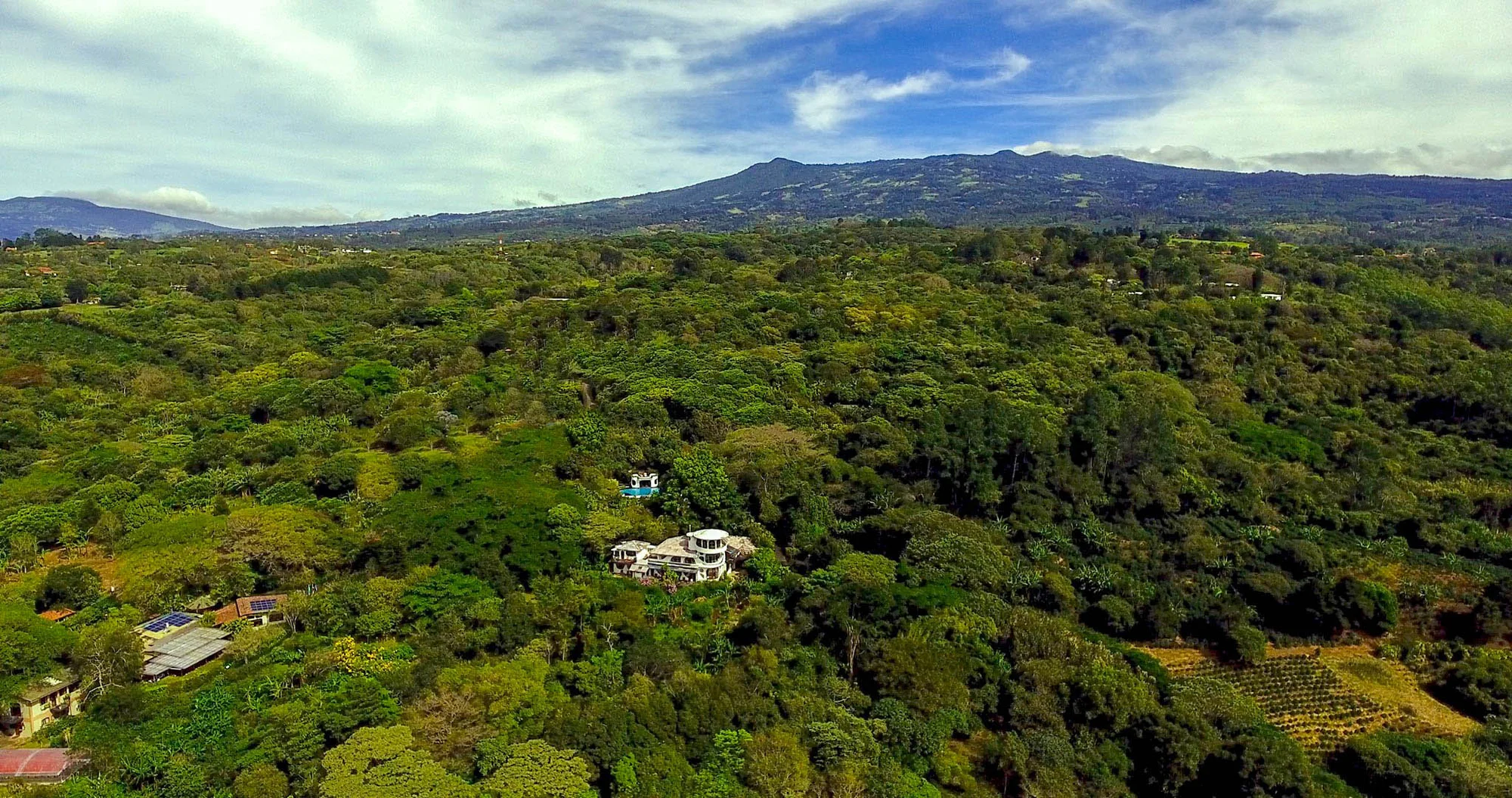 Costa Rican coffee farm