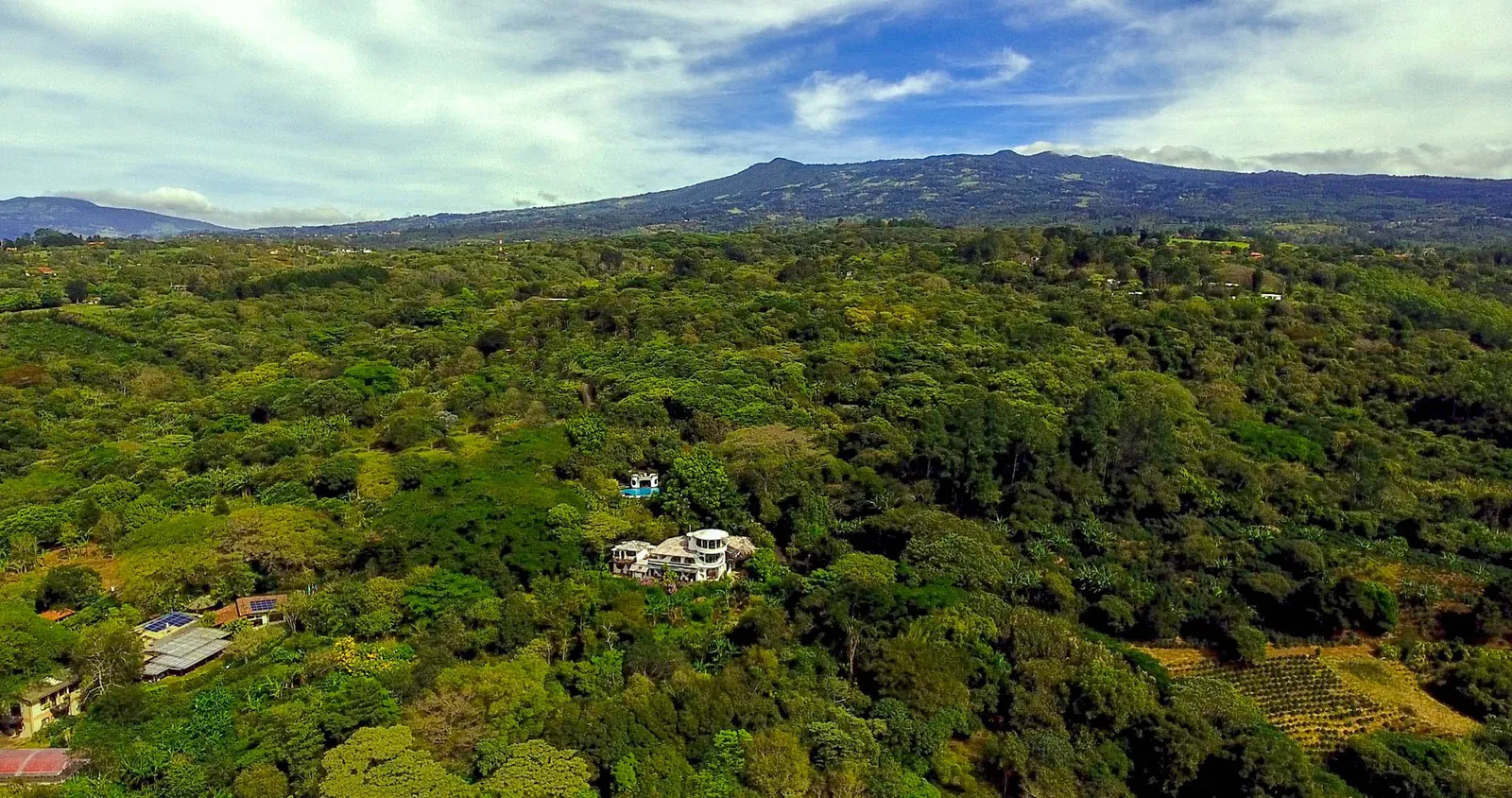 Costa Rican coffee farm