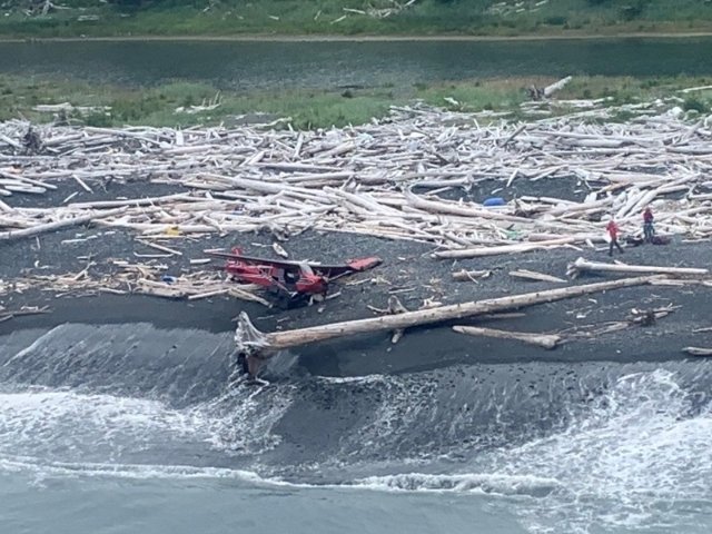 downed plane Montague Island bears