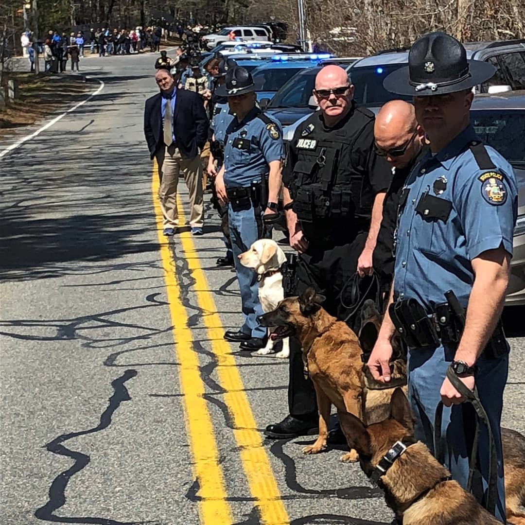 Massachusetts police dog