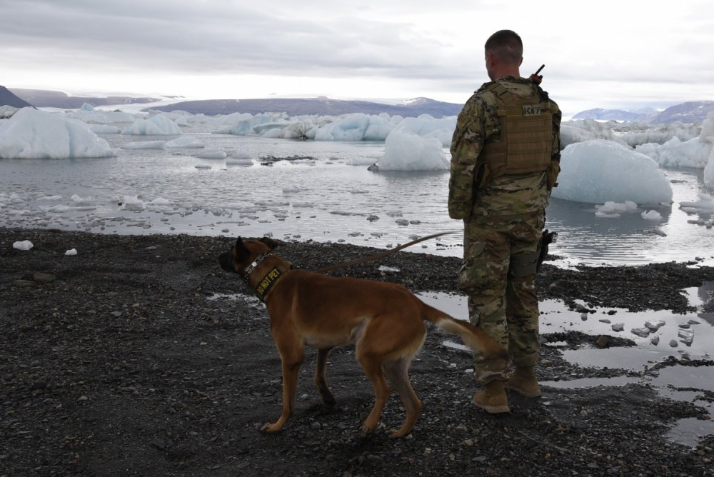 Staff Sgt. Jake Davis and Aazuro, 821st Security Forces Squadron military working dog team, sweep their area of responsibility for potential risks at Thule Air Base, Greenland, July 18, 2019. Air Force photo by Staff Sgt. Alexandra M. Longfellow/DVIDS.
