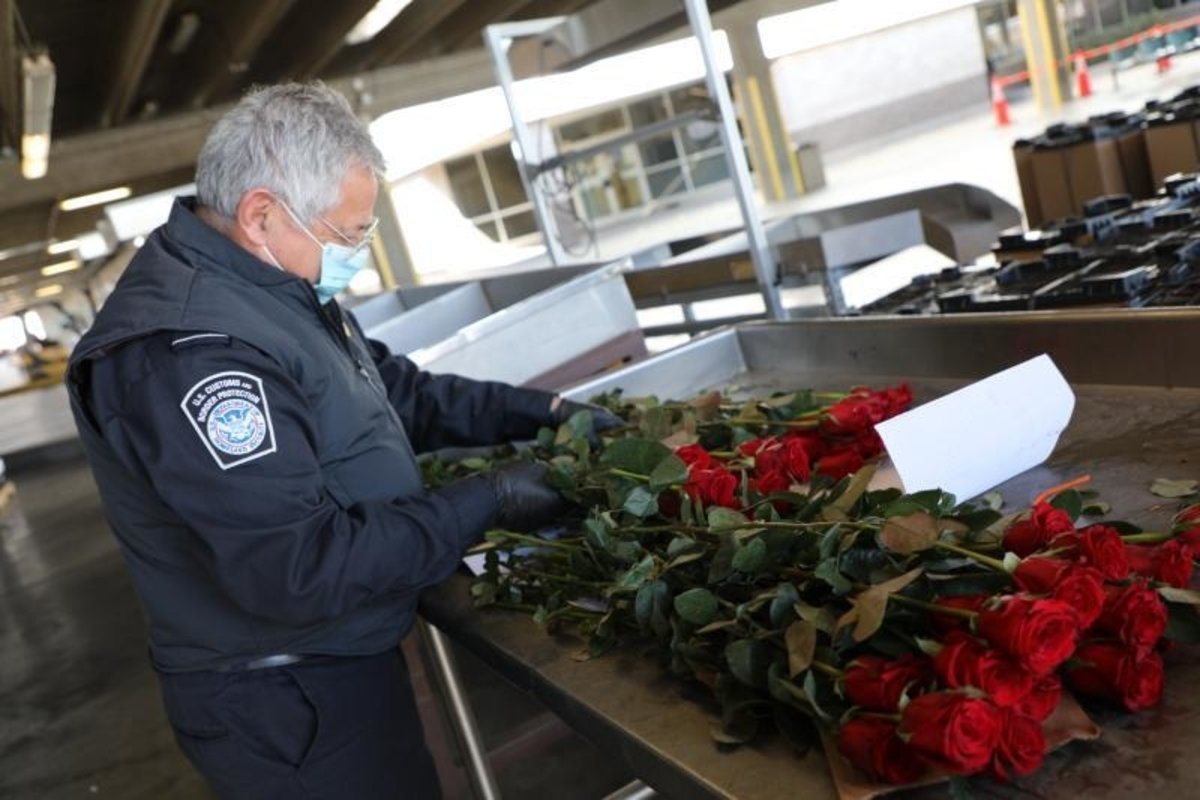 Valentine's inspections at Customs and Border Protection