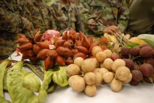 Indigenous fruits, vegetables, and plants in Thailand.