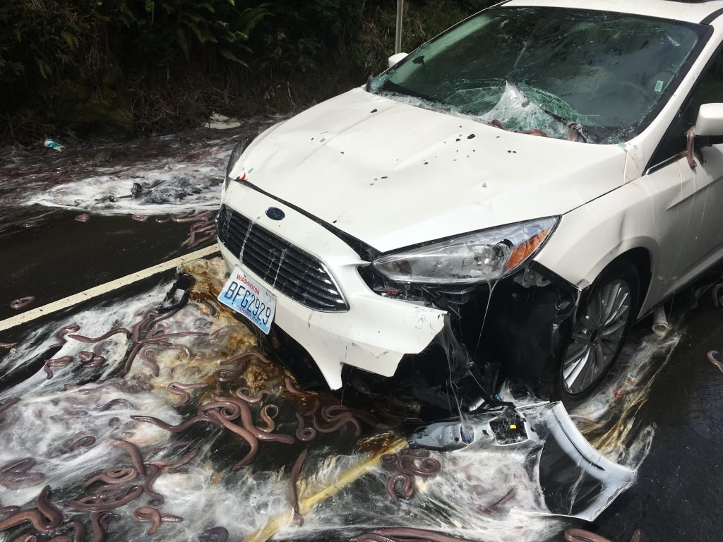 slime car