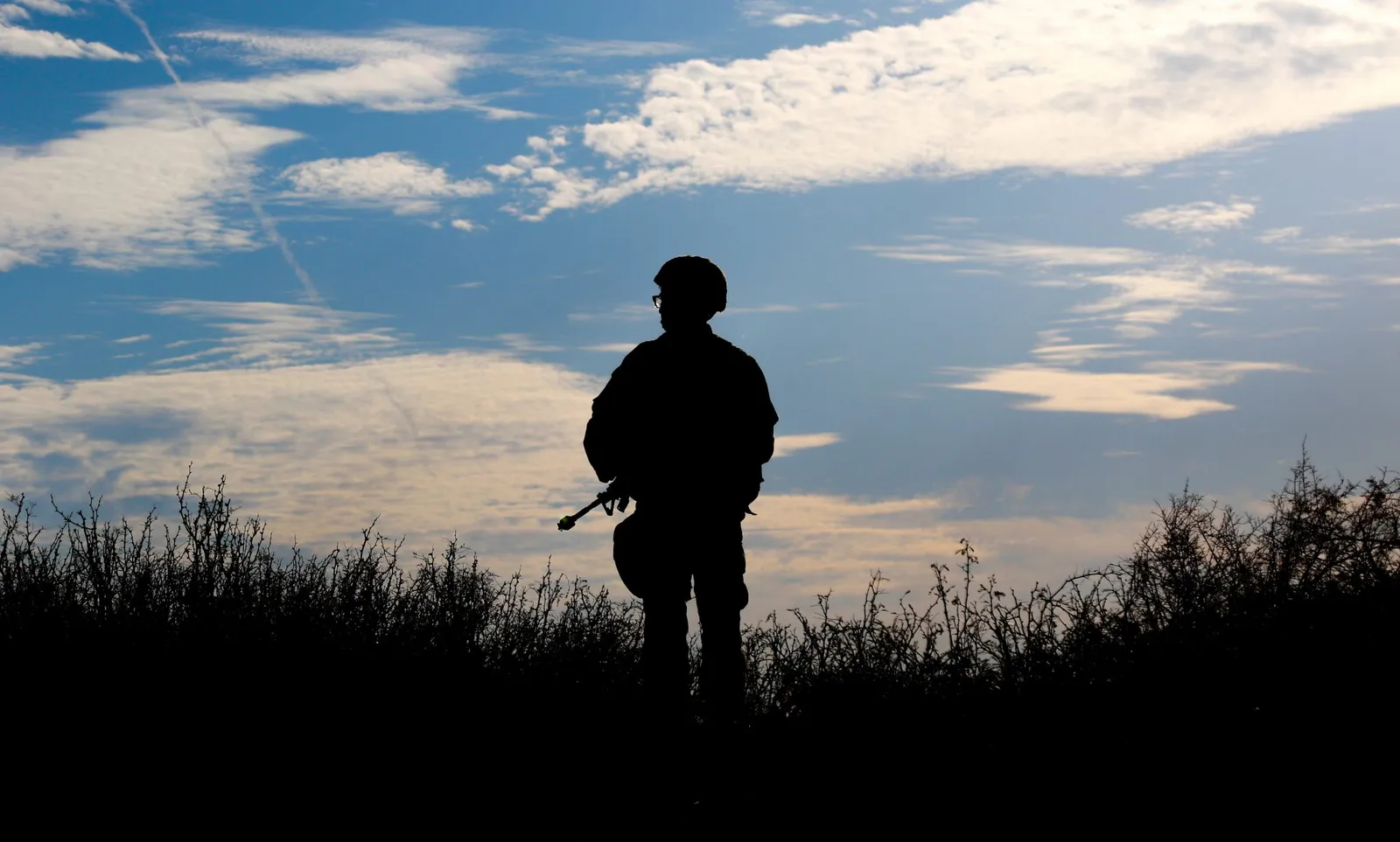 veterans running for office