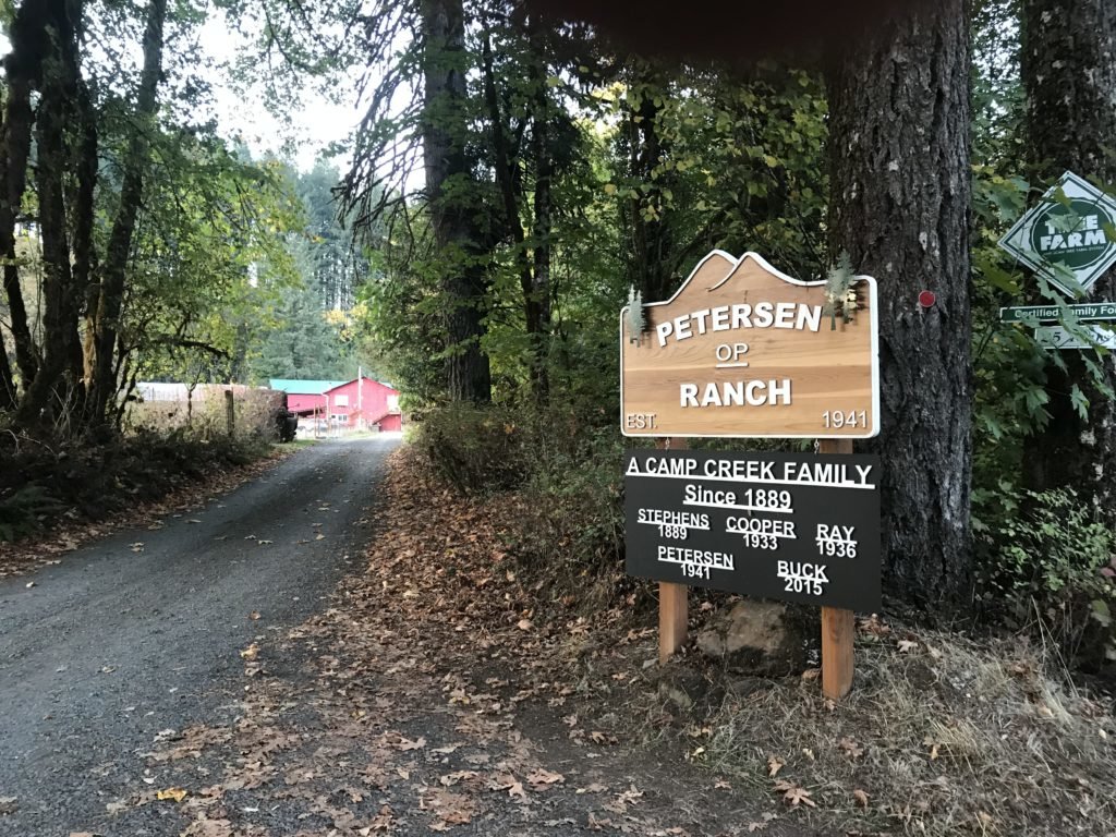 logging ranch
